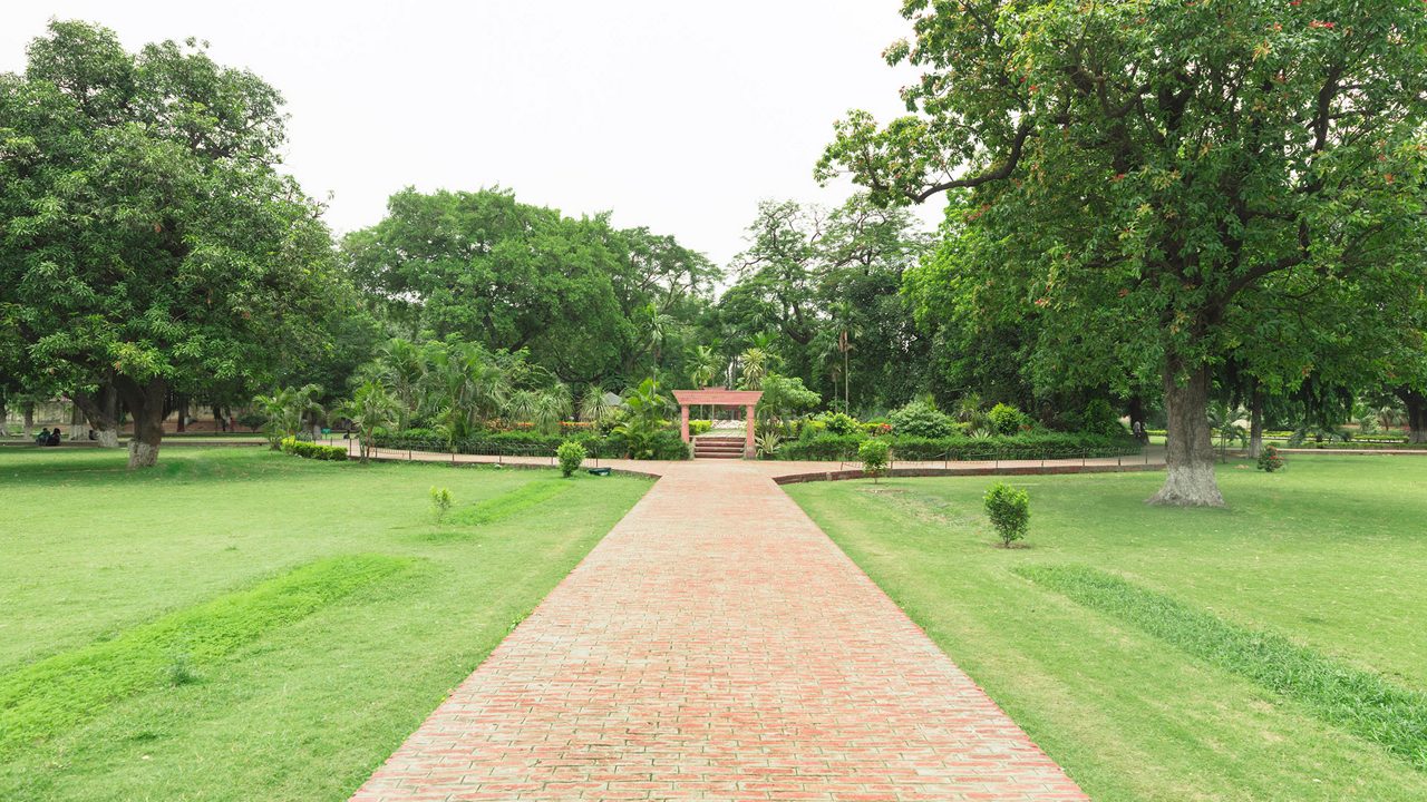 Arogya Vihar Ecological Park near Sherghati